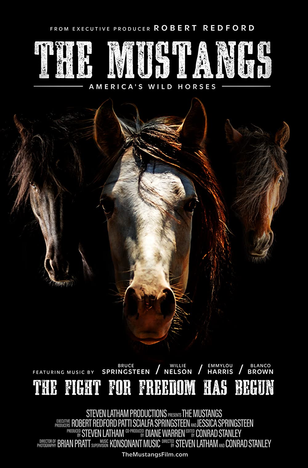 obraz The Mustangs: America's Wild Horses